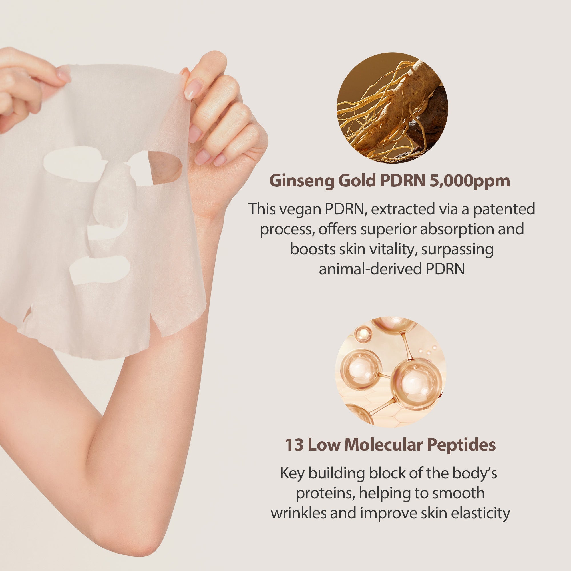 Wild Ginseng Gold PDRN Daily Special Mask (30 sheets) 330g